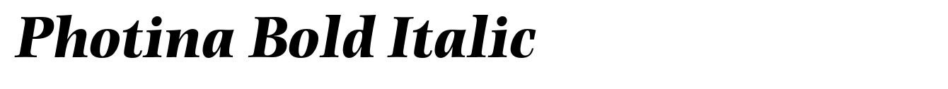 Photina Bold Italic image